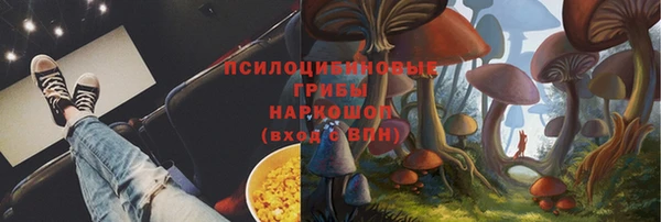 трава Верея