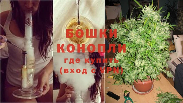 трава Верея