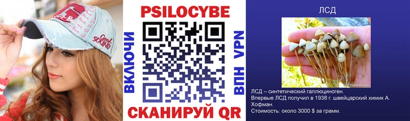 Галлюциногенные грибы Psilocybe  kraken онион  Нерюнгри  что такое наркотик 