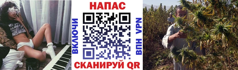 Бошки Шишки планчик  наркошоп  Нерюнгри 